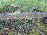 image of grave number 609574
